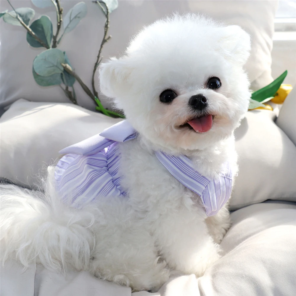 Spring Summer Dog Bowknot Dress - PeticaDeals