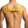Arnés DM Rivets & Straps 2
