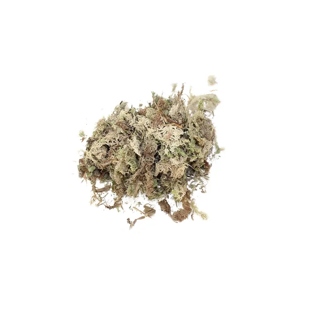 Növények Sphagnum Moha, Szárított Táplálkozási Szerves Műtrágya, Természetes Moha Az Orchidea Falaenopsis Virágához - Image 2