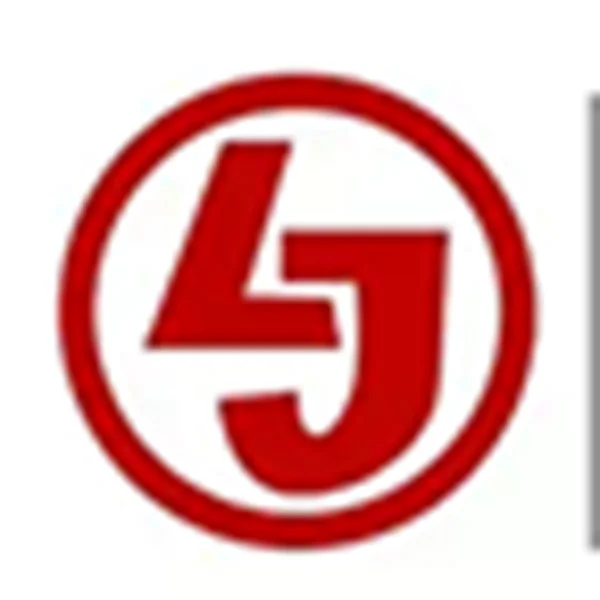 Lijia Youpin Auto Parts Company Store