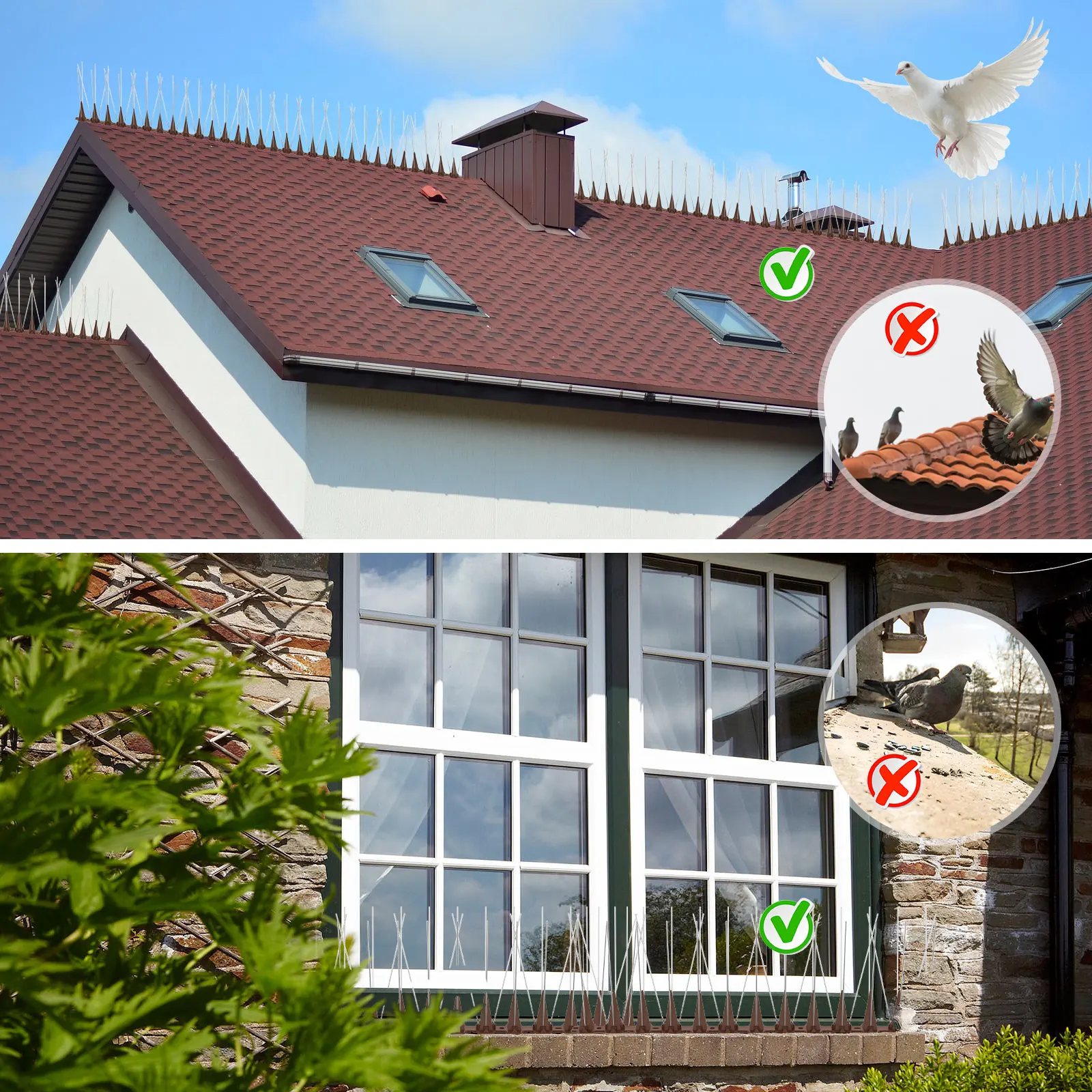Stainless Steel Bird Spikes Repeller for Fence Roof