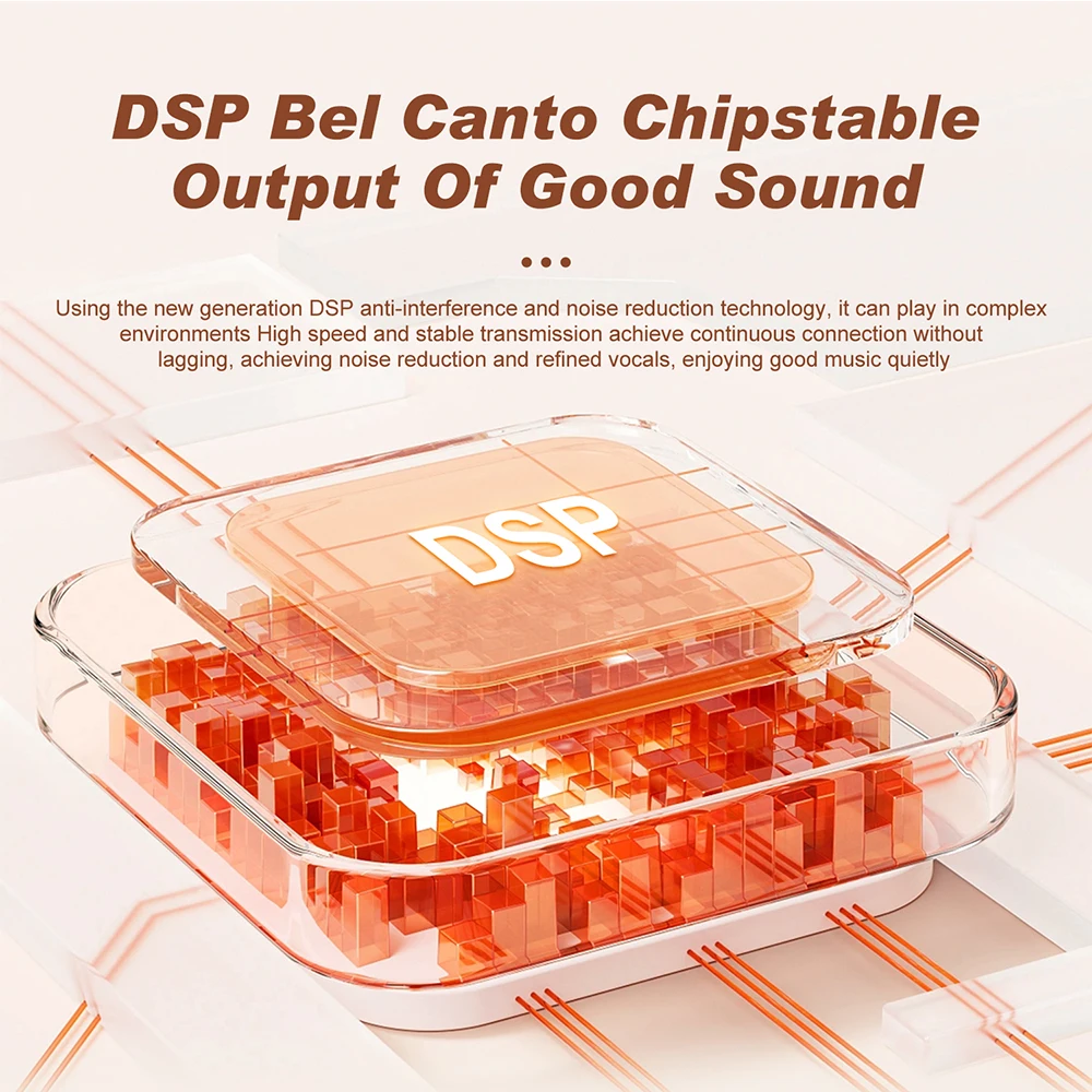 Portable Wireless Dual Microphones Karaoke Machine Bluetooth PA Speaker KTV DSP System HIFI Stereo Sound RGB Colorful LED Lights