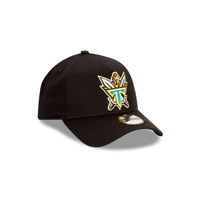 

2024 Titans black Baseball Cap hats