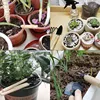 3PC/1Set Mini Gardening Tools Set Portable Small Gardening Tool With Handles Shovel Rake Indoor Gardening Planting Flower Tools 3