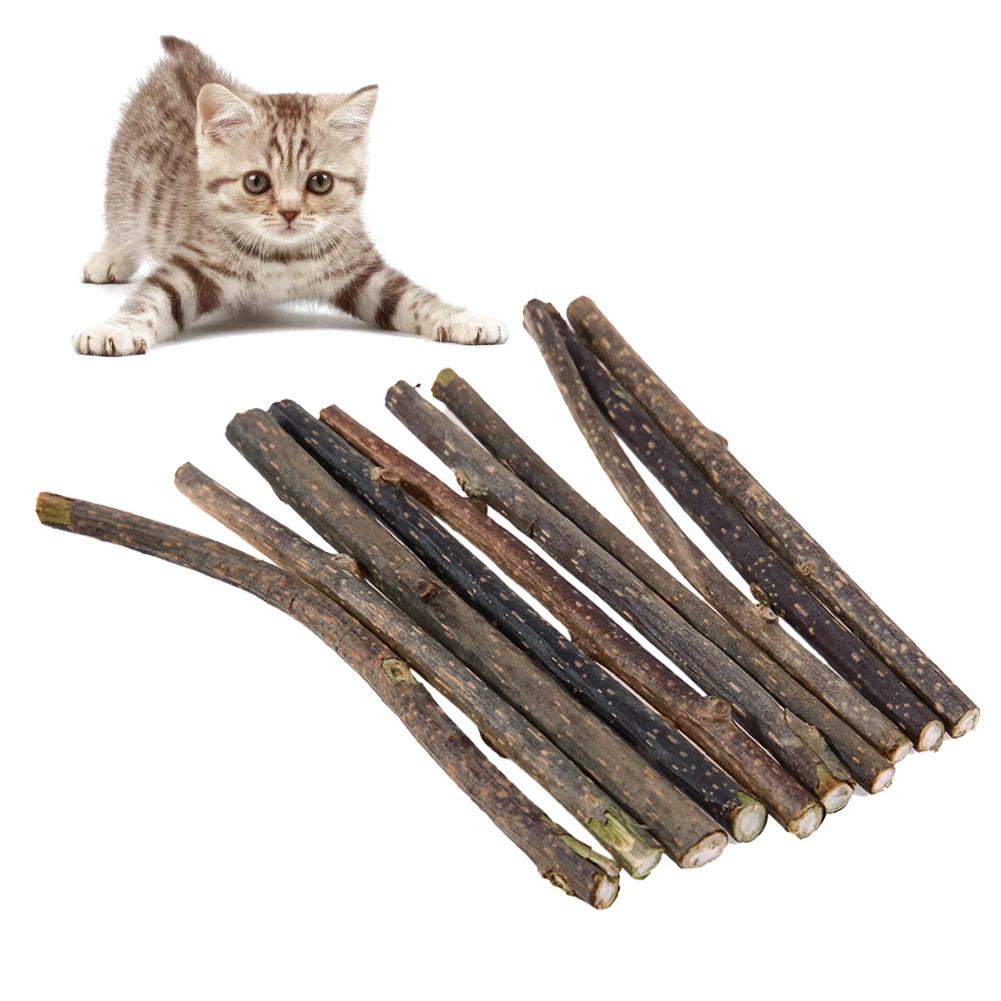 10-50PCS Natural Cat Catnip Stick Kitten Molar Chew Stick Pet Cleaning Teeth Relieve Cat Treat Toy Actinidia Silvervine Pet Prod