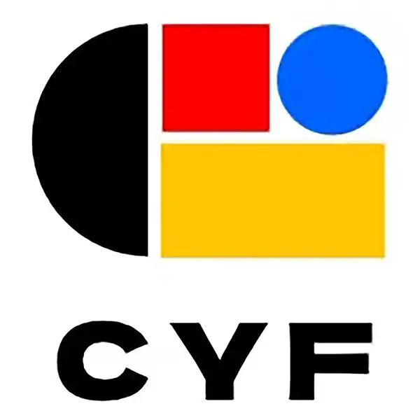CYF Phone Case 008 Store