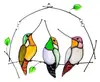 3 birds