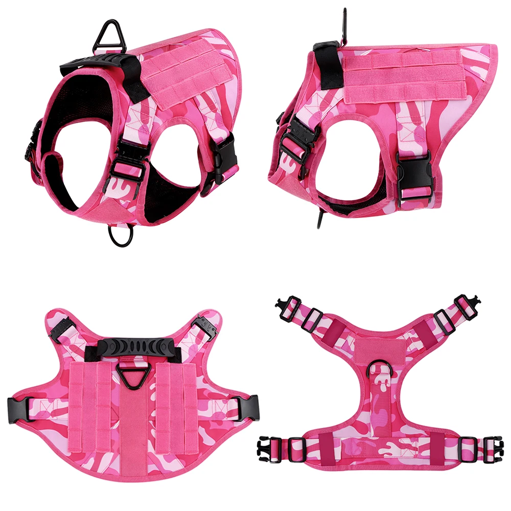 dsc-products