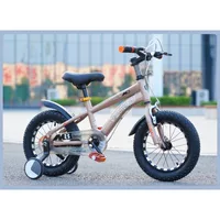 Vélo pour enfants 14-16-18-20 pouces bébé Bick garçon et fille enfant Bick 3-6-9 ans cadre en acier au carbone Double frein 6