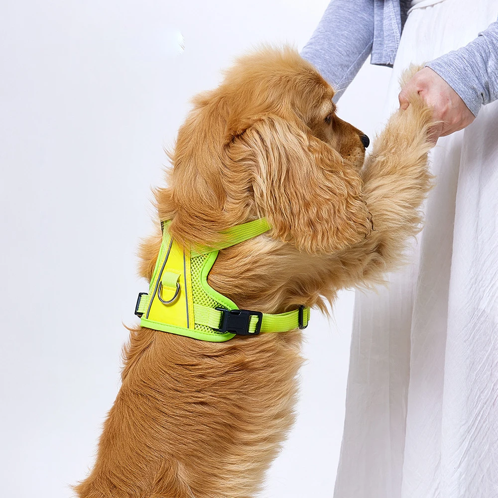 Reflective Dog Harness And Leash Set With Soft Padding For Dogs_voghion.com