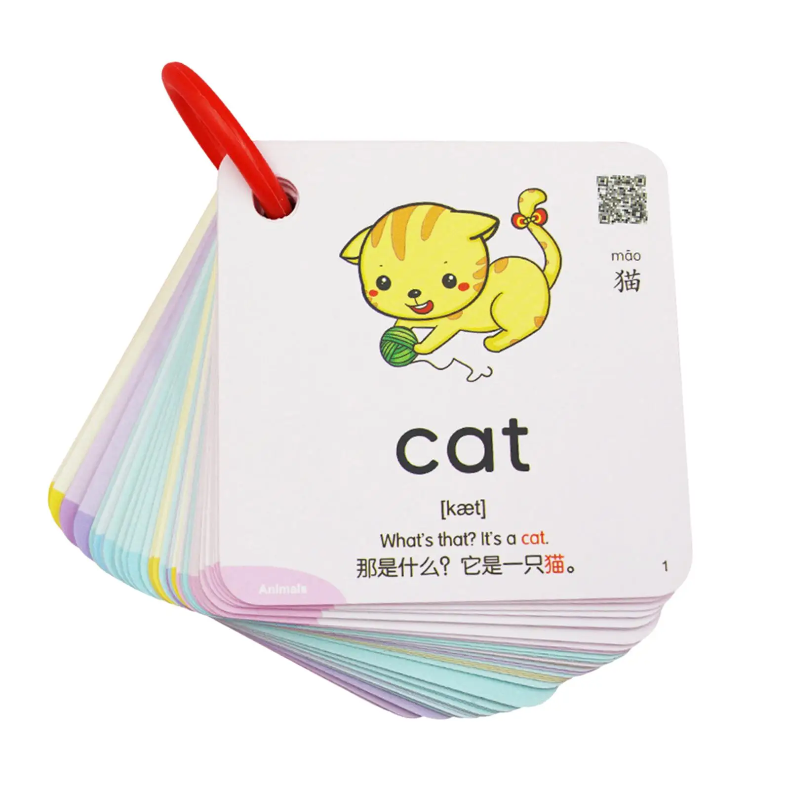 

300 Pieces Educational Flash Card Children Cognition Card for Kid 3+ Years