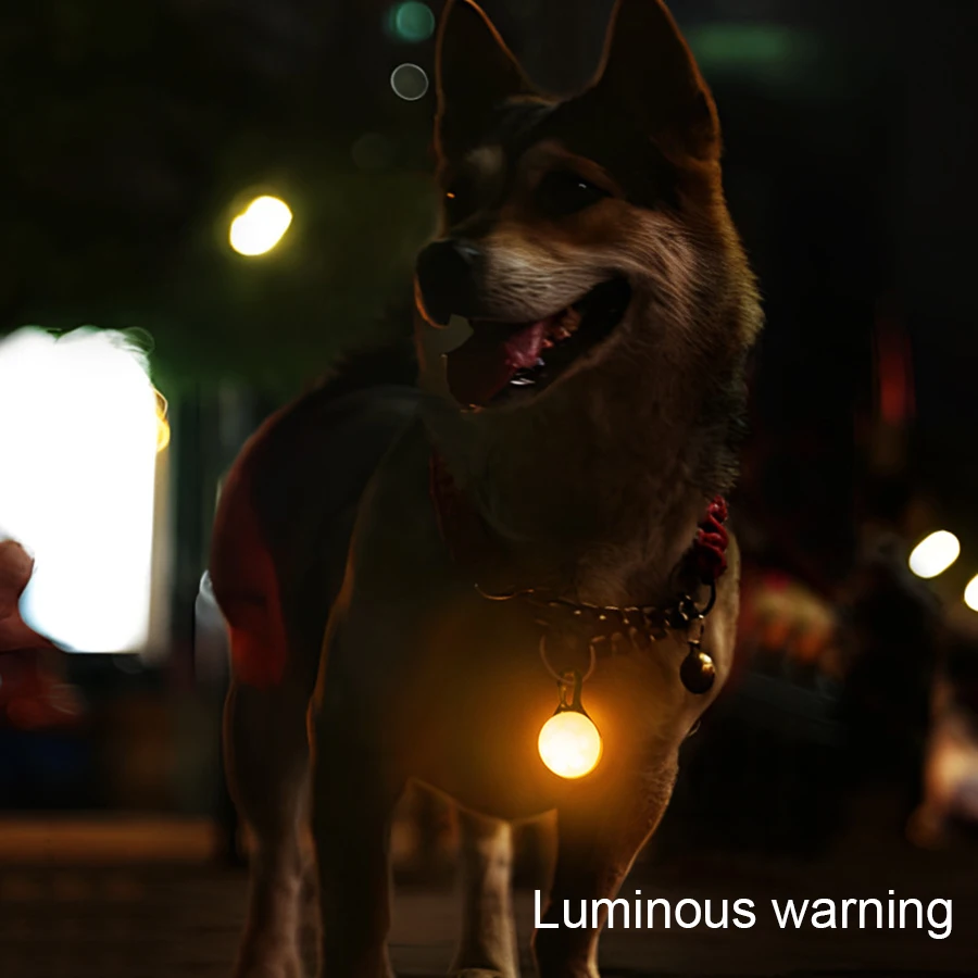 Pet Pendant Universal Waterproof Flashing Warning Sign for Cats and Dogs Night Walking Dog Anti Getting Lost Night Light