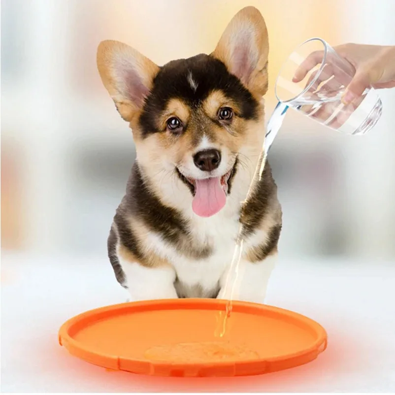 Pet Dog Flying Disk Toy Flying Saucer Puppy Interactive Training Floatable Water Pet Outdoor Training Supplies Throwing Type Toy 3