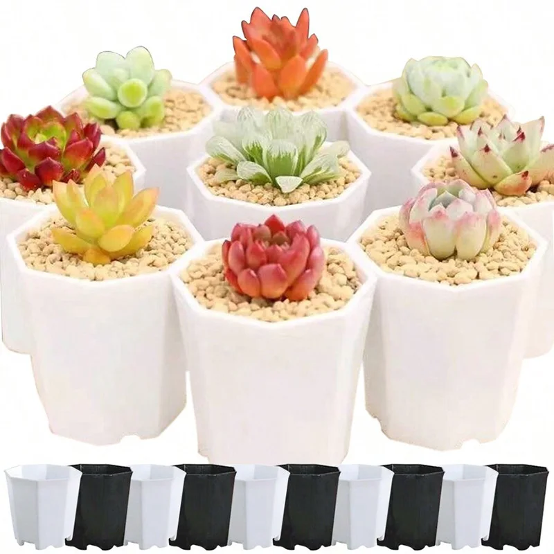 10pcs Octagonal Flowerpot Black White Plastic Solid Small Seedling Pot Desktop Succulent Decoration Combination Breathable TMZ