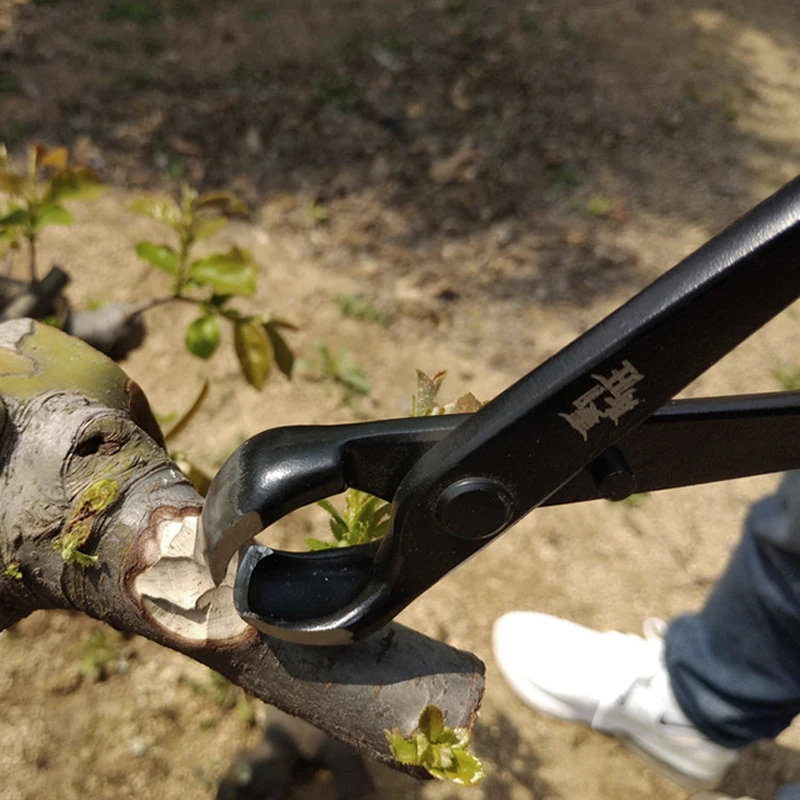 180/210/290mm Bonsai Knob Cutter Concave Edge Cutter Pliers Ball Shear Scissors Landscape Modeling Garden Bonsai Tools 62HRC