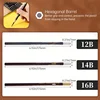 Marie's 12pcs Artist Pencils 12B/14B/16B,Black Graphite Core,Matte Pencil Set for Sketching,Drawing,Shading for Artists,Students 5