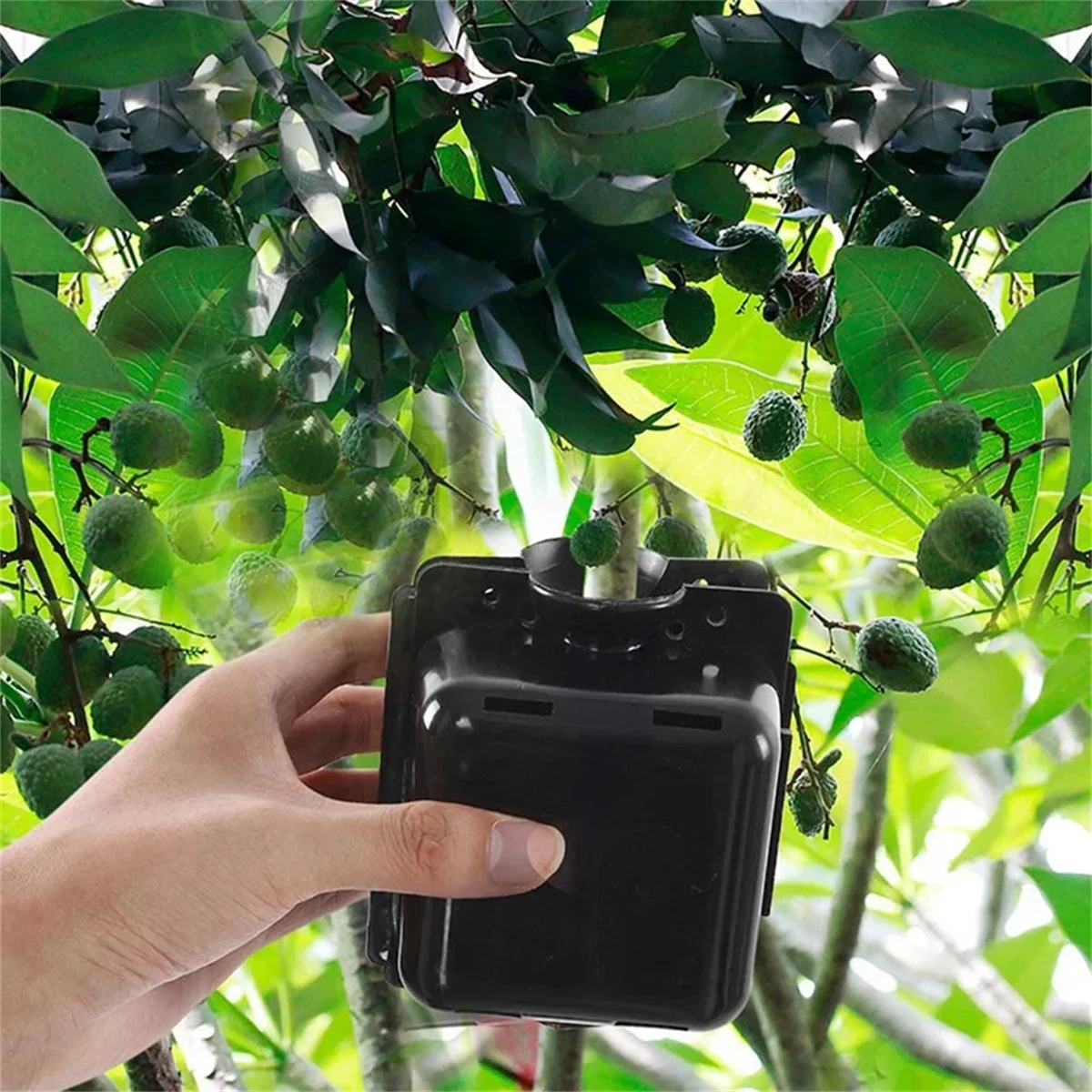 3Pcs Square-shape Plant Root Growing Box Reusable Plastic Plant Rooting Device High-Altitude Branch Cutting Grafting Rooting Box 5