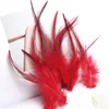 50/100pcs 8-15CM Wholesale feather diy cat toys, colorful pheasant feather handicrafts, accessories and decorative materials 6