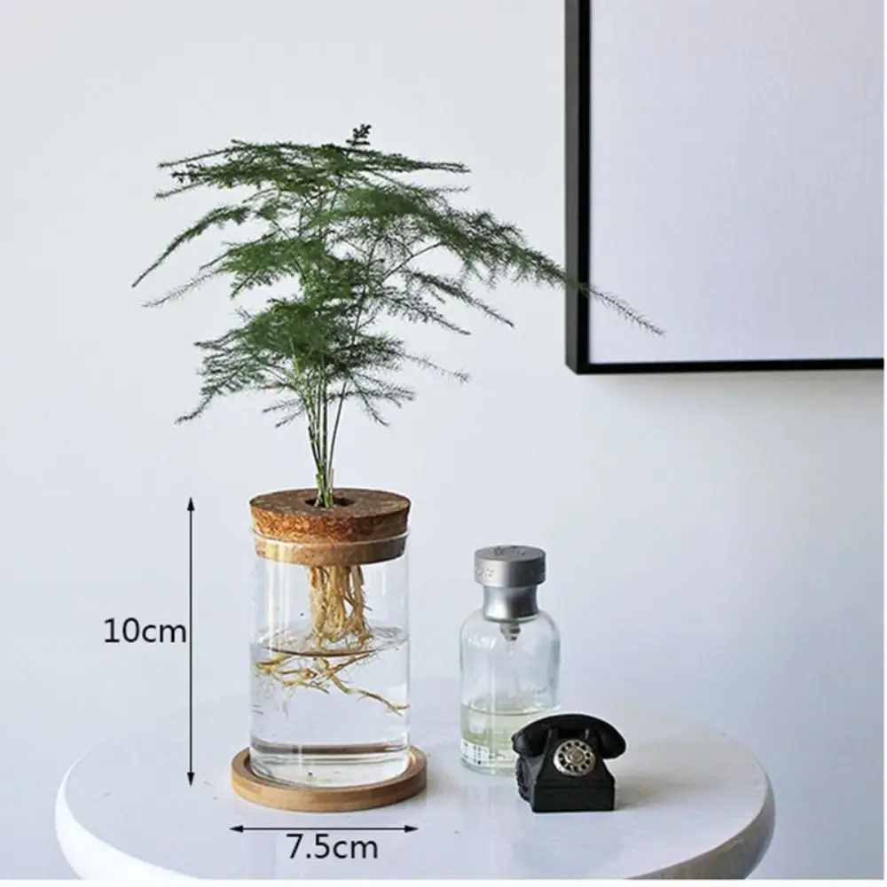 Transparent Hydroponic Flower Pot Green Plant Soilless Creative Home Glass Vase Potted Mini Terrarium flower pot flower vase hydroponic flower pot