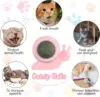 Wall Mounted Catnip Ball 2