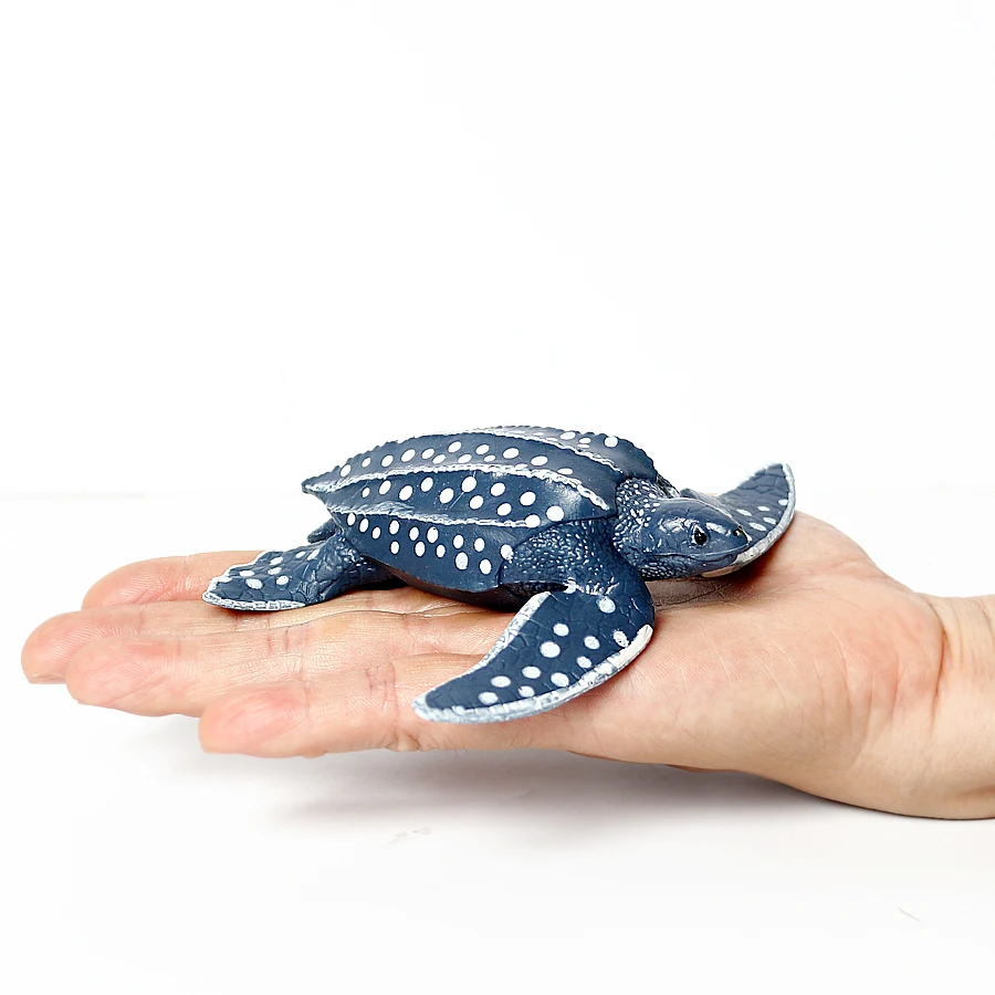 Realistic Sea Turtle Growth Cycle Educational Toy and Cake Topper Gift
