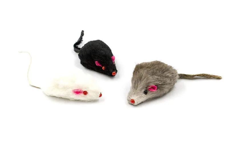 Звук кошки для мышей