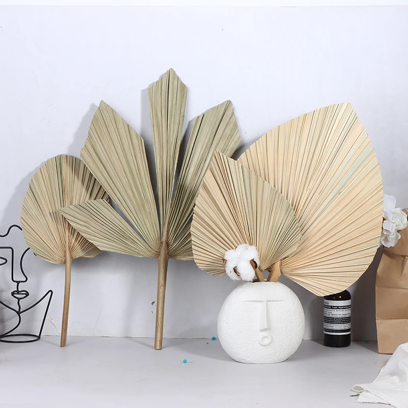 

Palm Fan Leaf Dry Flower Palm Leaf Window Reception Party Art Hanging Wall Decoration Bow Wedding Arrangement