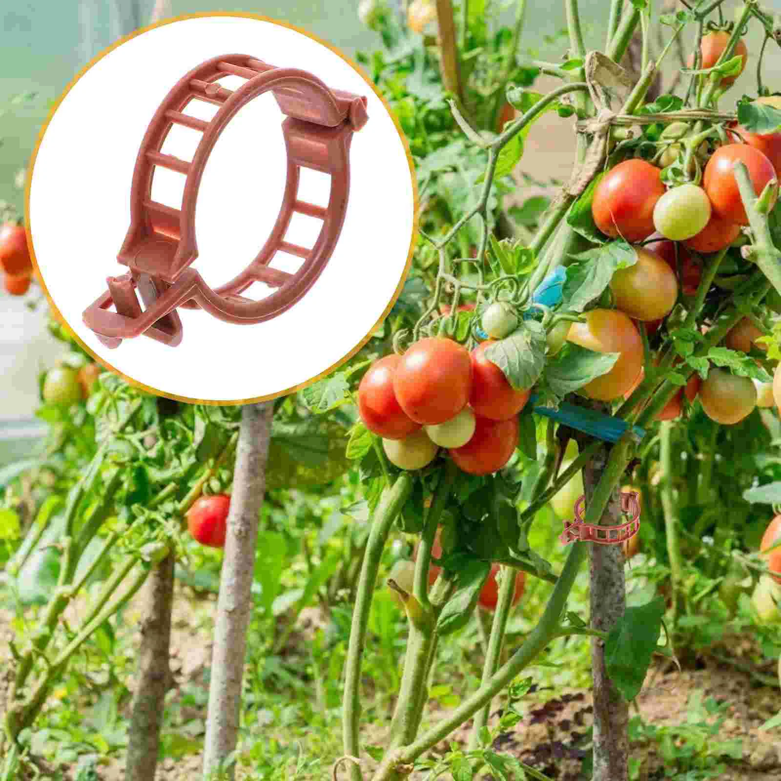

Garden Clip Set Greenhouse Tomato Stem Support Clips Plastic Plant Clip Plant Clamp Growth Clamp Tomato Clip