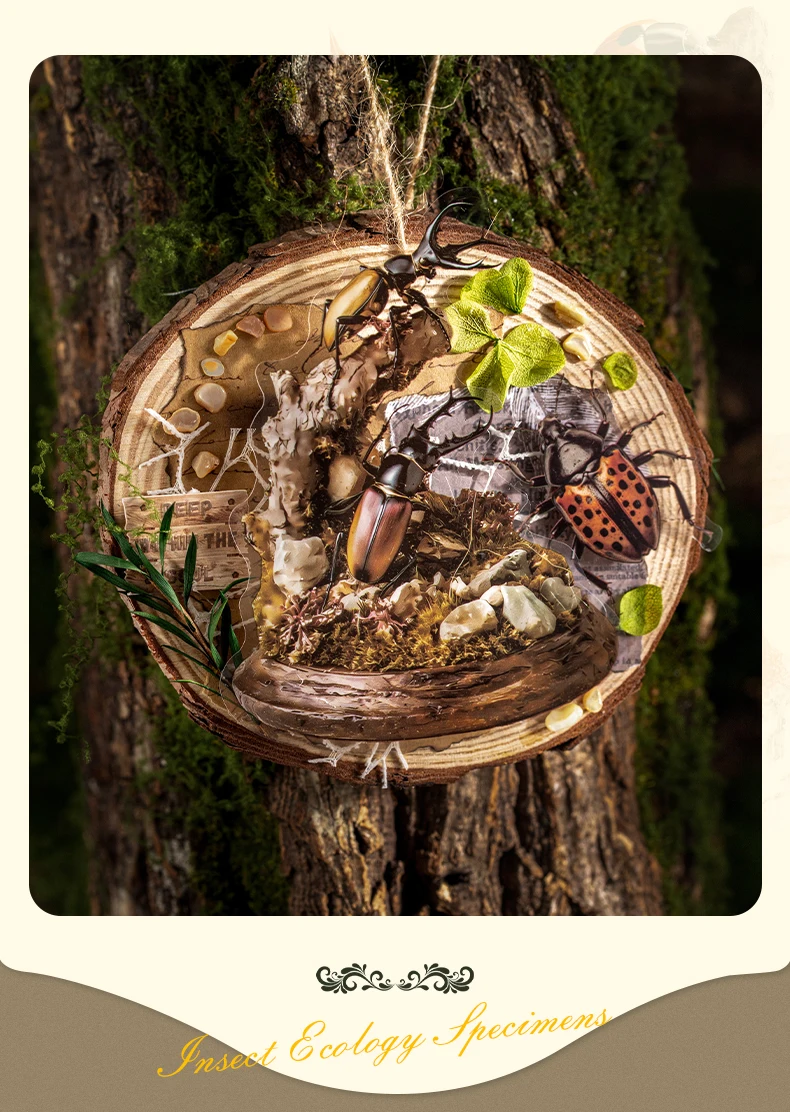 30 Stück große PET-Aufkleberbeutel mit Insekten- und Ökologie-Motiven für DIY-Scrapbooks, Handbücher und ästhetische Schreibwaren. – Detail 12
