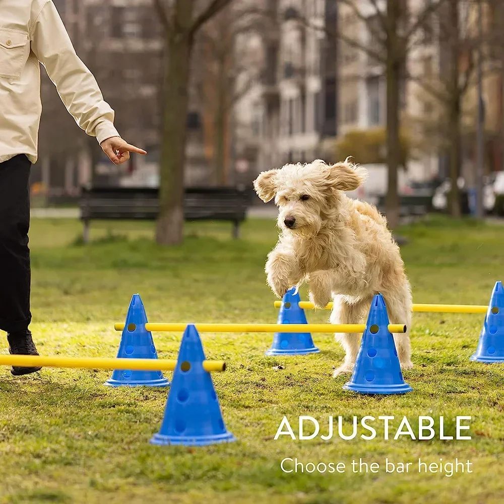 Pet Agility Obstacle Training Set 3