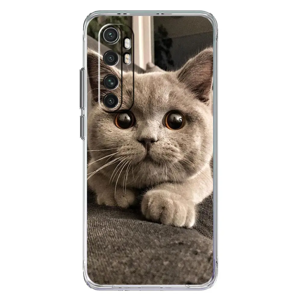 Kawaii Love Cat Clear TPU Phone Case Cover