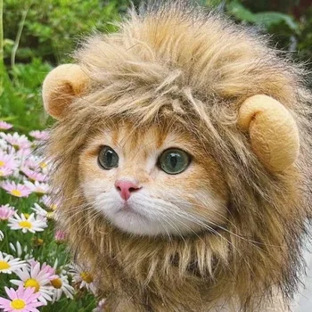 Cat Hat Lion Mane Halloween Costume Lion Costume Cat Cosplay Dress Up Pet Hats For Small Cats And Kittens Party Decoration 1