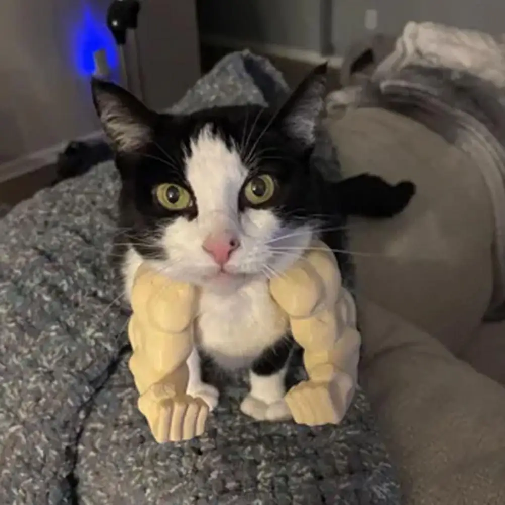 Funny Cat Costume