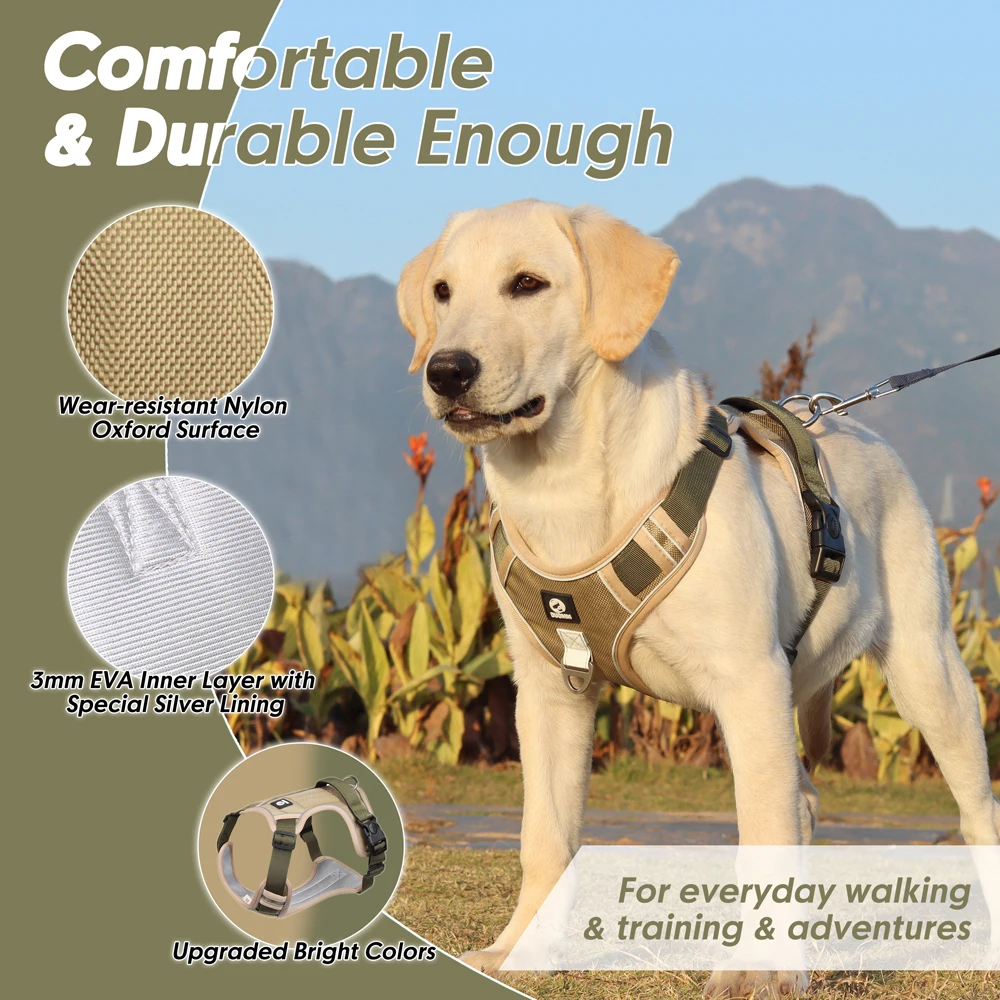Dog Harness Image 3