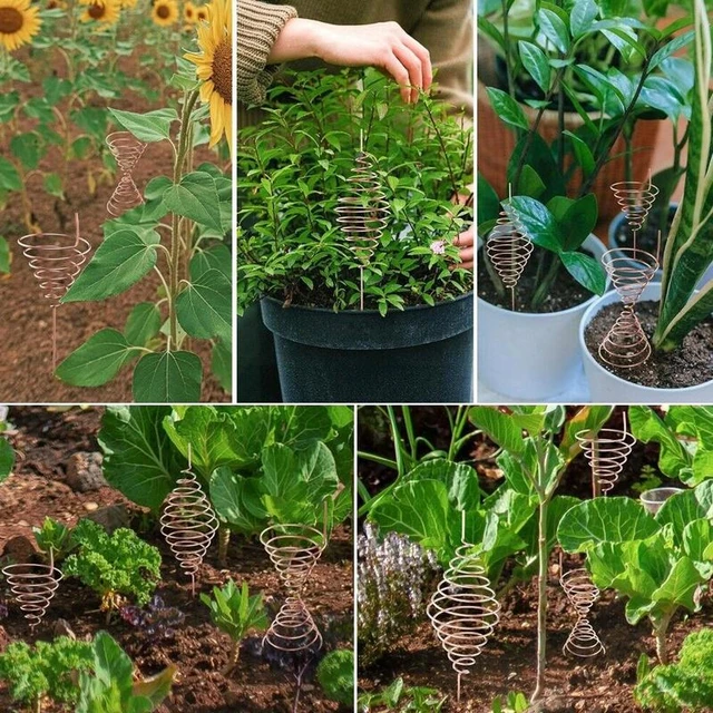 Copper Garden Tools Copper Wire For Plants Coils Antenna Making Reusable  Durable Wire For Copper Gardening Electroculture - AliExpress