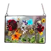 Acrylic Frame Pressed Flowers Hanging Picture Artificial Dried Plants Wall Pendant with Chain Kids Art Photo Display 5