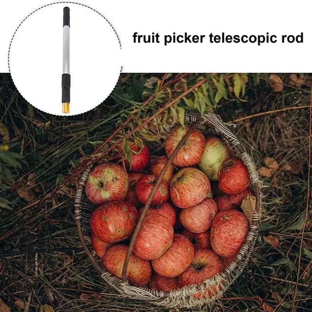 Hosszabbító Pólus Többcélú Alumínium Ötvözet Hosszabb A Gyümölcsökhöz Kültéri Kézi Szerszámok Gyűjtője Dióhoz Golfgolyó-Dióhoz - Image 4
