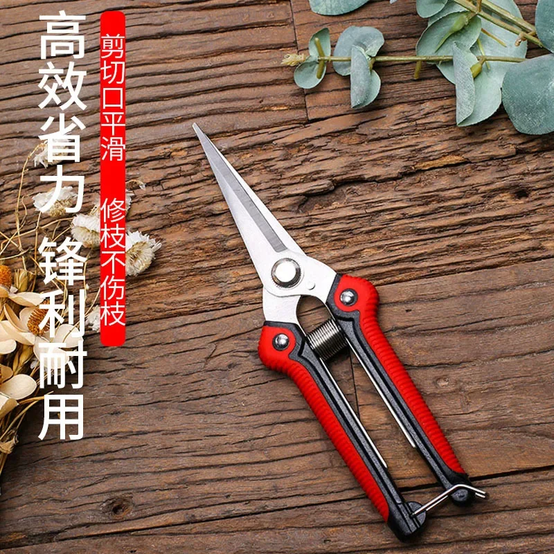 

Stainless Steel Pruning Gardening Scissors Orchard Flower Branch Picking Fruit Cutting Garden Branch Tool Scissors