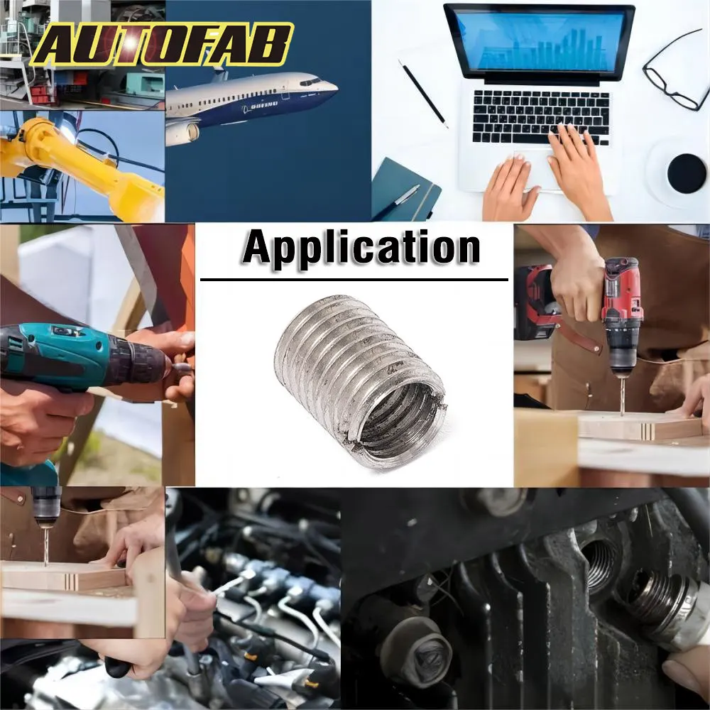 AUTOFAB Thread Adapters Sleeve Reducing Nut for M10X1.25 Male to M8X1.25 Female Screw Sleeve Conversion Nut EPCGQ82