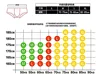 Men's underwear nylon / nylon low waist mesh hole breathable comfortable convex double T-shirt 6
