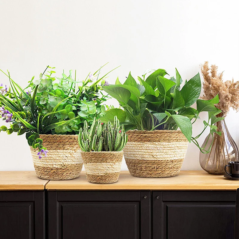 Woven Basket, Indoor Plant Pot
