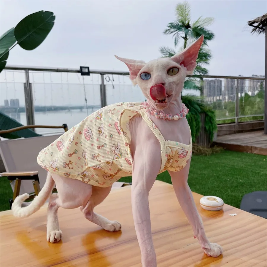 Ropa De Gato Kotomoda Ropa Para Gatos Suéter Tartán Rojo (L Ropa Para Gato Amazon