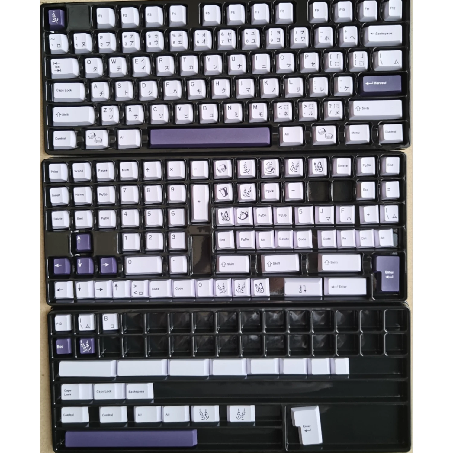 Computers e Electronics
