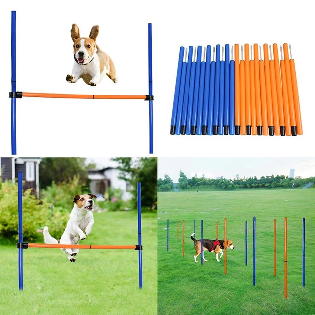 Curso De Obstáculo Para O Treinamento Do Cão, Equipamento De Obstáculo,  Brinquedo Interativo Do Jogo, Pular Pólo, Exercício, Esportes Ao Ar Livre,  Agilidade Do Cão - AliExpress