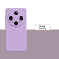 Grass Purple