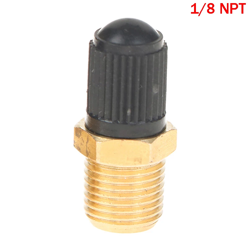 Anti-Corrosion Brass Schrader Tire Valve with Sealing Caps