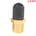 18 NPT