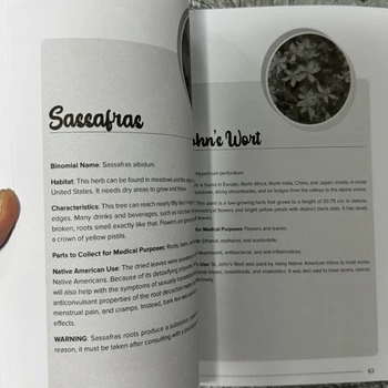 The Herbal Remedies & Natural Medicine Bible The Ultimate Collection of Healing Herbs and Plants to Grow English Paperback Book 3 The Herbal Remedies & Natural Medicine Bible The Ultimate Collection of Healing Herbs and Plants to Grow English Paperback Book 3