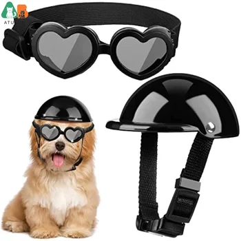 Small Dog Helmet & Goggles 1