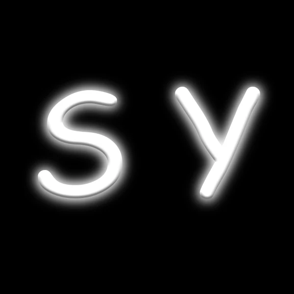 SUUYEE Store